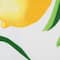 DII® Lemon Bliss Print Outdoor Placemat Set, 6ct.